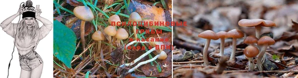 кокаин колумбия Лабытнанги