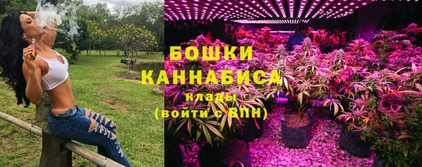 дживик Липки