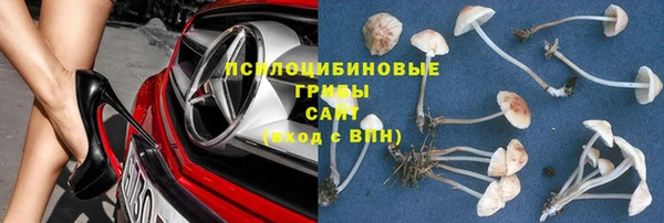 дживик Липки