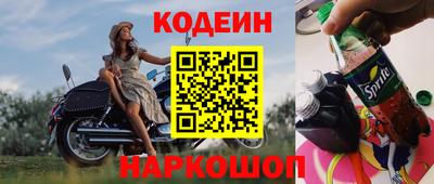 шишки Камышлов