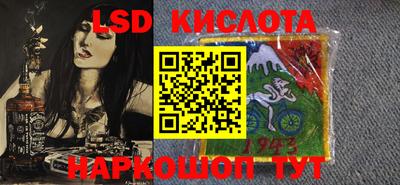 шишки Камышлов