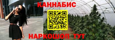mdpv Кандалакша