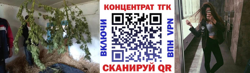 купить наркотик  Чернушка  kraken онион  Дистиллят ТГК Wax 
