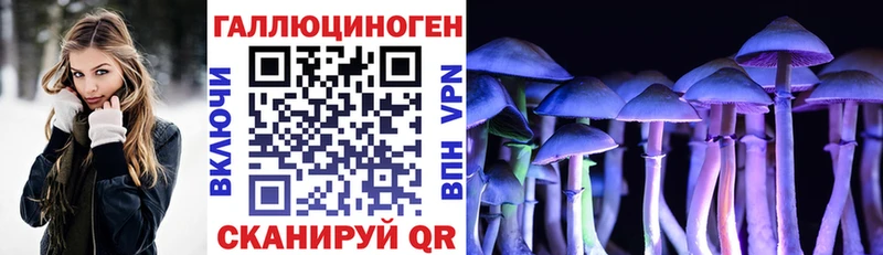 Псилоцибиновые грибы Cubensis  Чернушка 