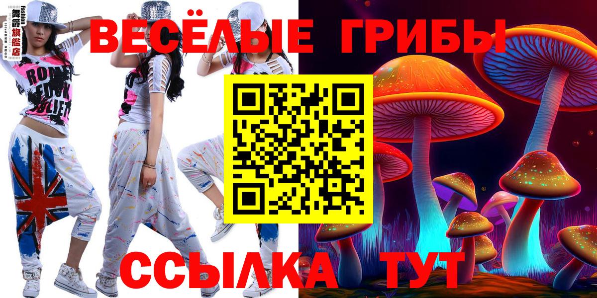 Псилоцибиновые грибы Psilocybe  Вход с VPN  сколько стоит  Чернушка 