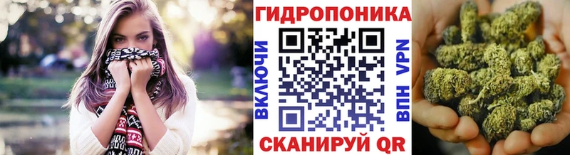 Бошки Шишки гибрид  Чернушка 